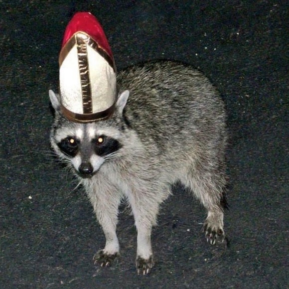 Meet the Posher Other - Meet your Posher, Layla